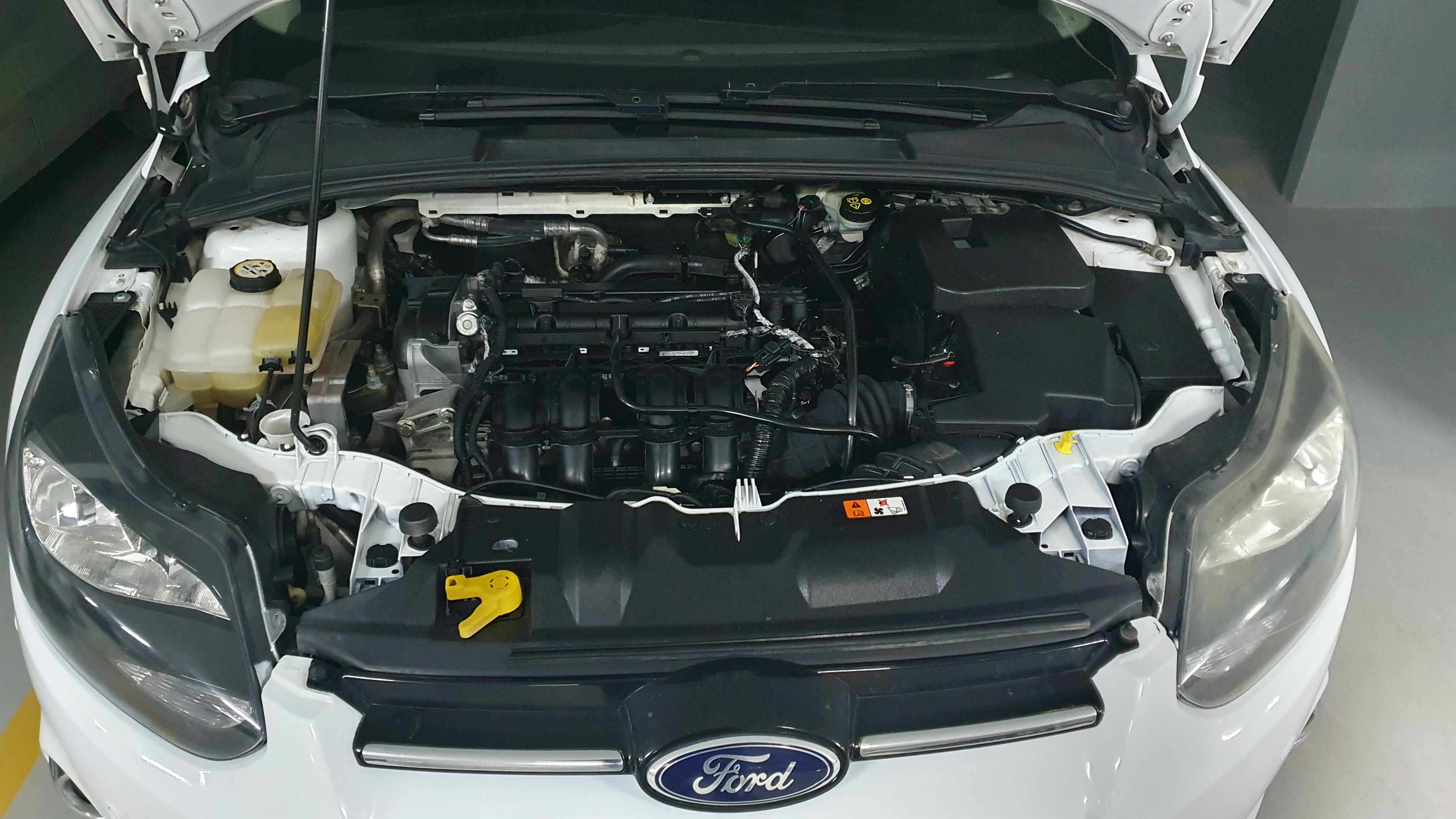 Ford Focus - Tunisie
