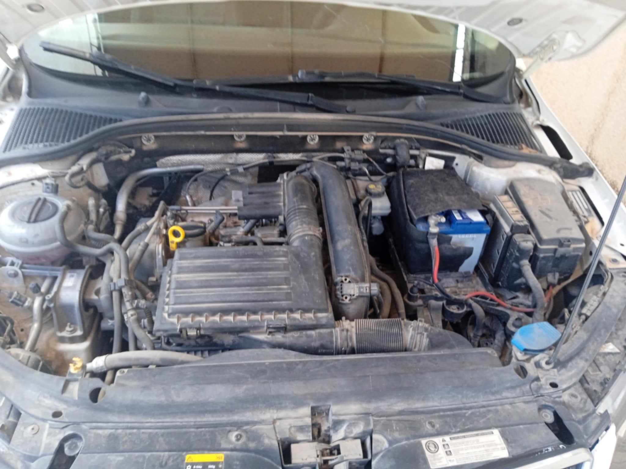 Skoda Octavia - Tunisie