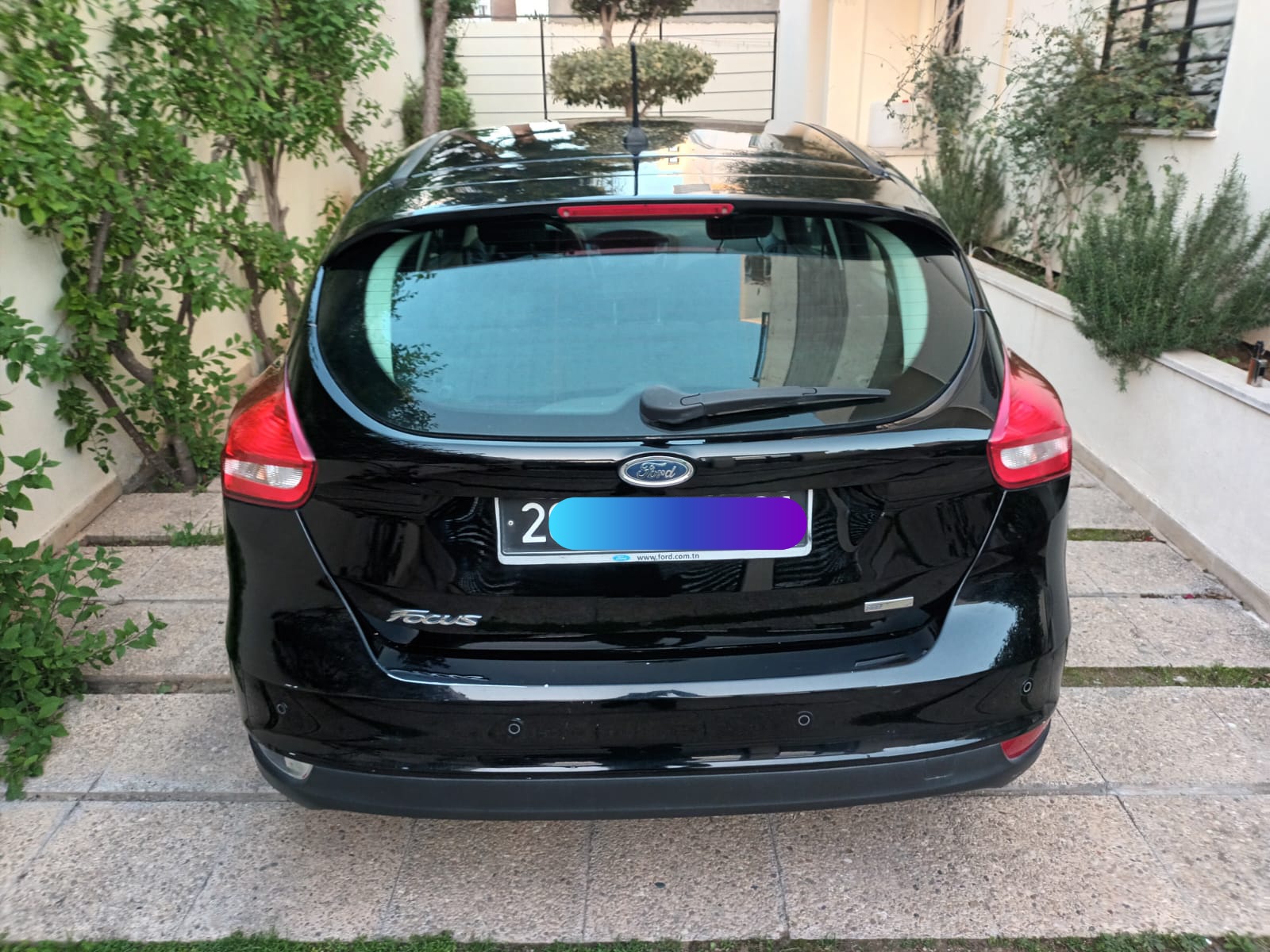 Ford Focus - Tunisie