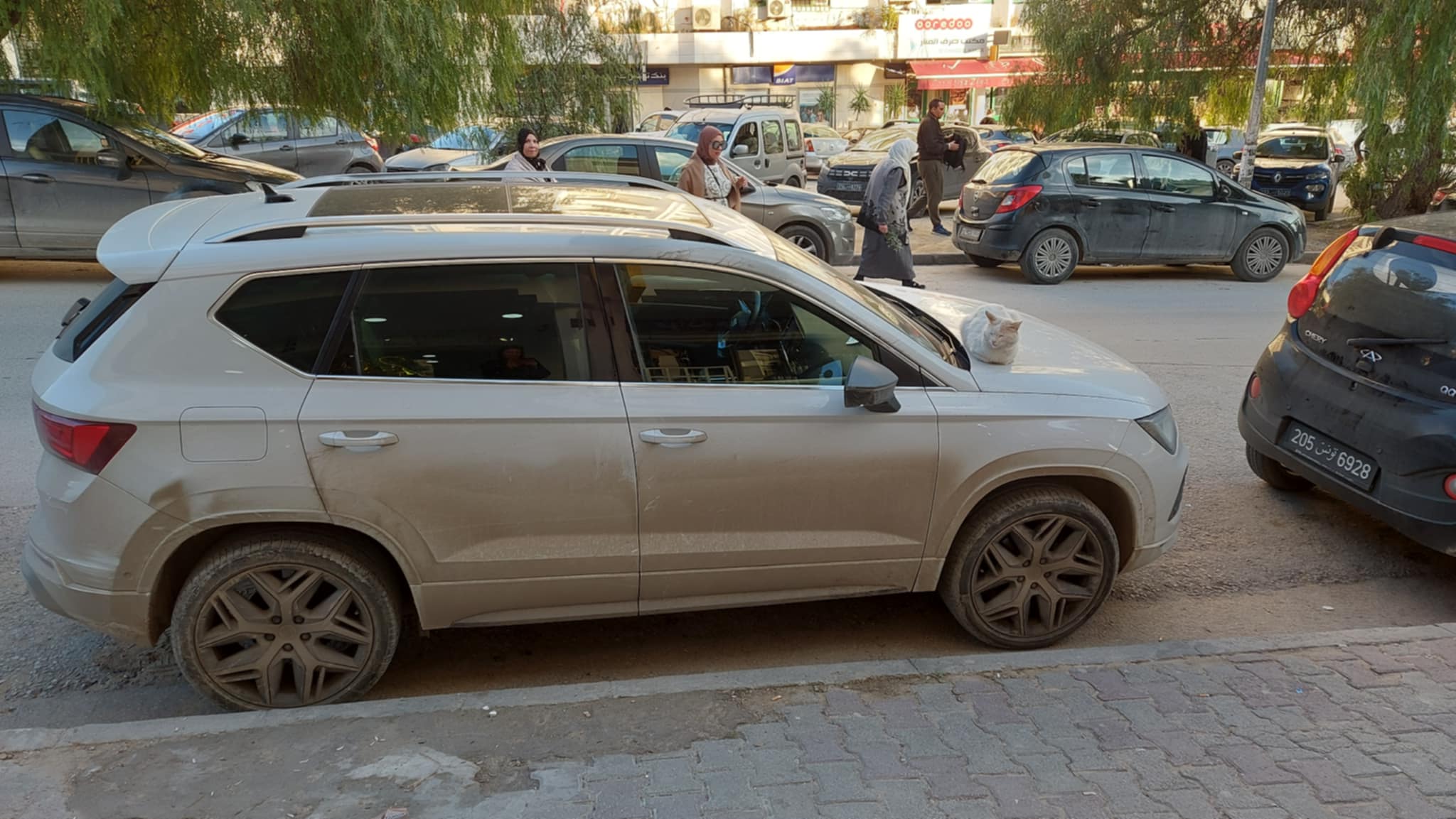 Seat Altea - Tunisie