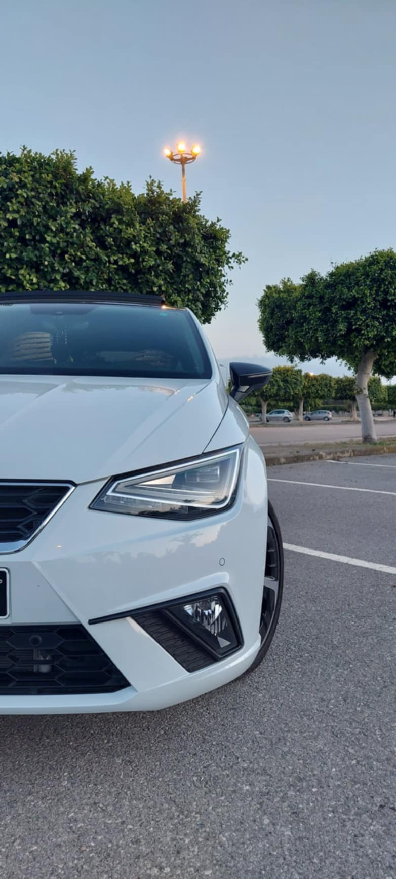 Seat Ibiza - Tunisie