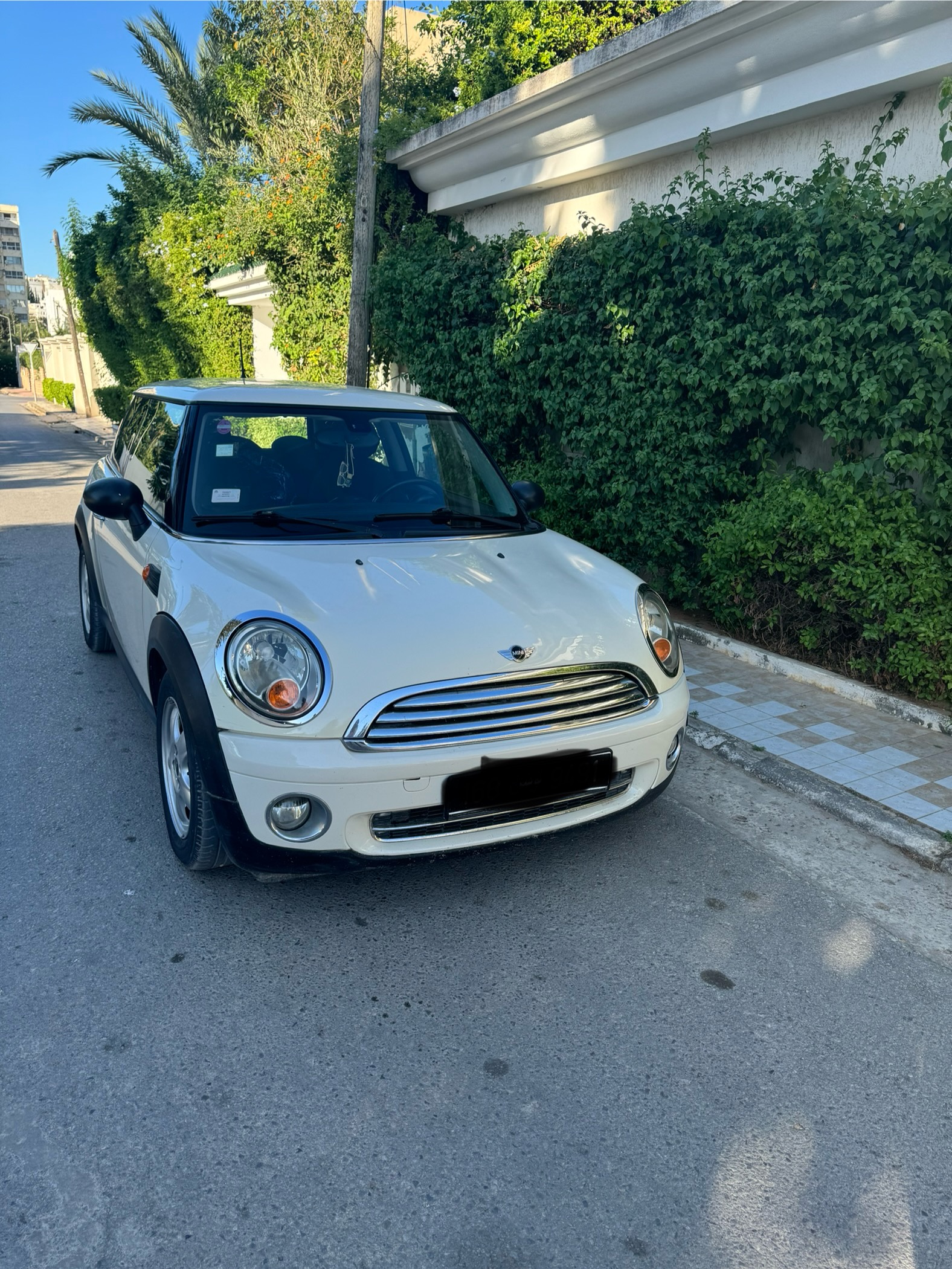 Mini Mini - Tunisie