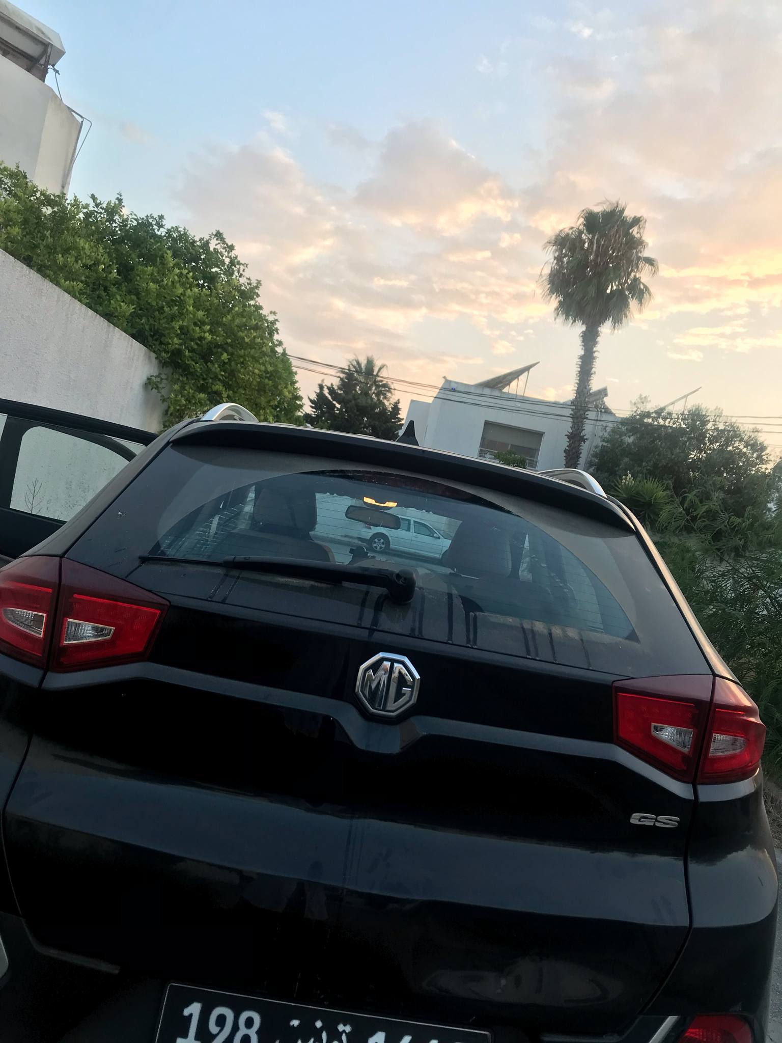 Mg MG - Tunisie