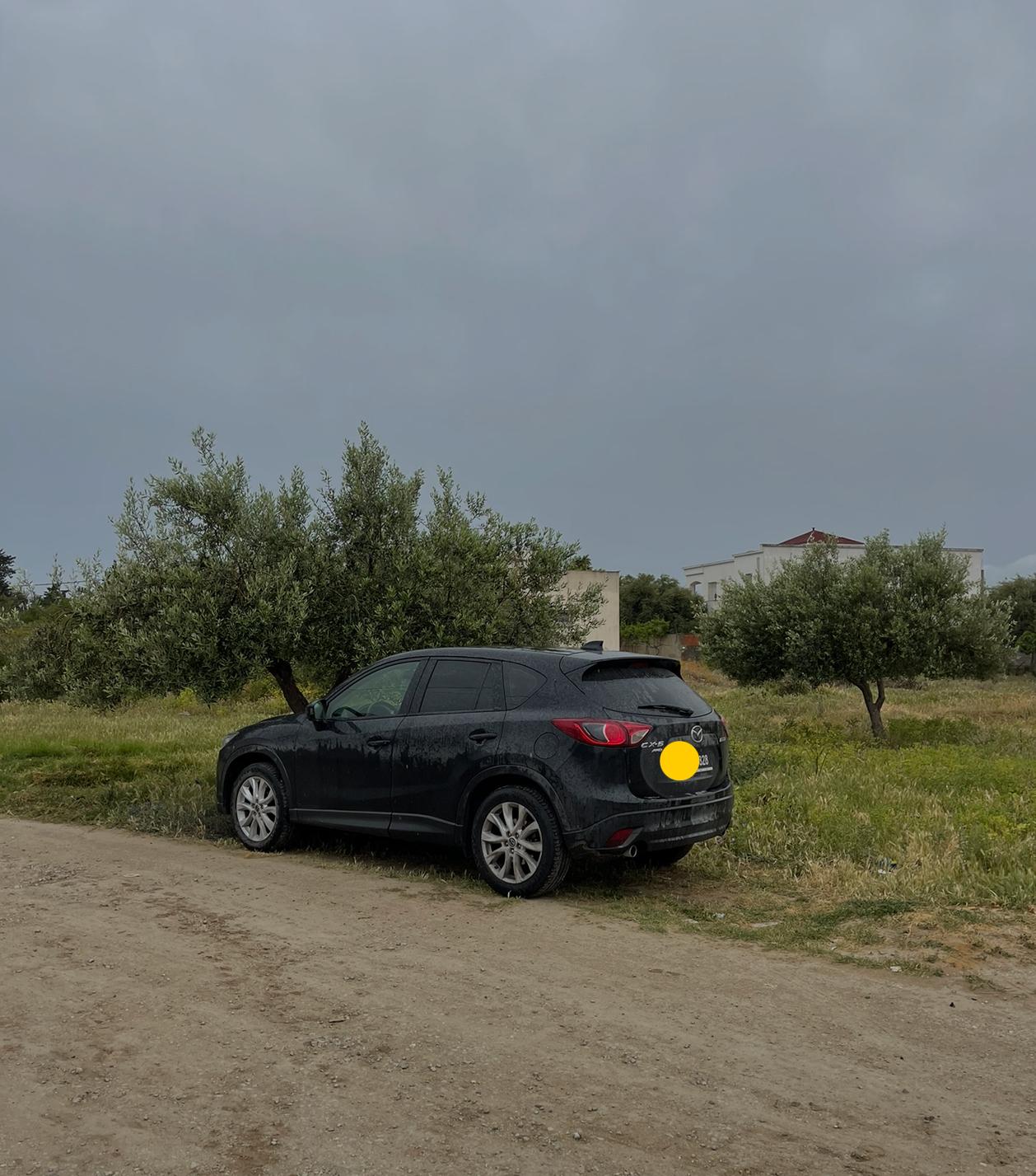Ariana Ville El Menzah 5 Mazda Autre Modle Belle mazda cx5
