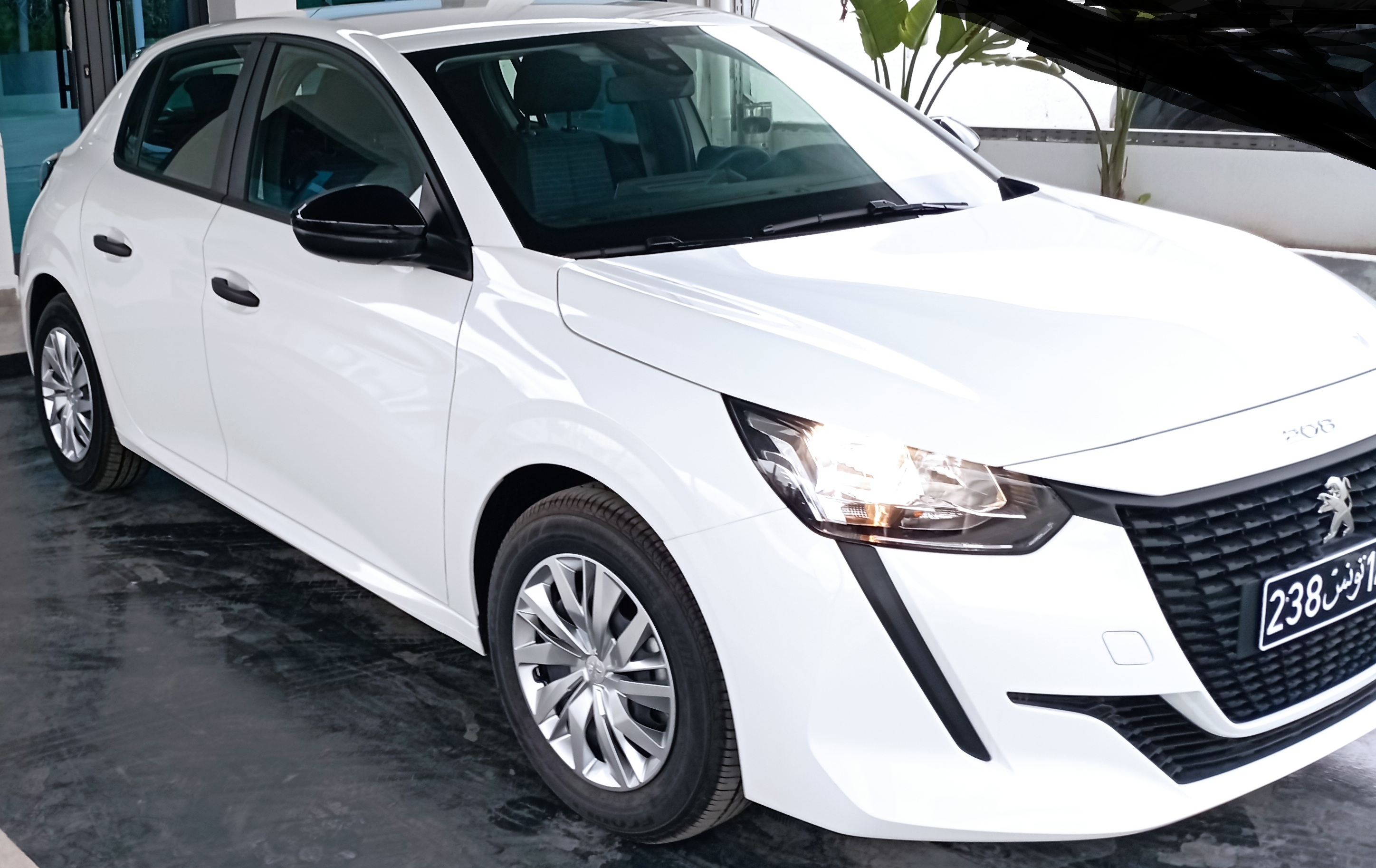 Ariana Ville Cite Du Jardin Peugeot 208 208 premier main