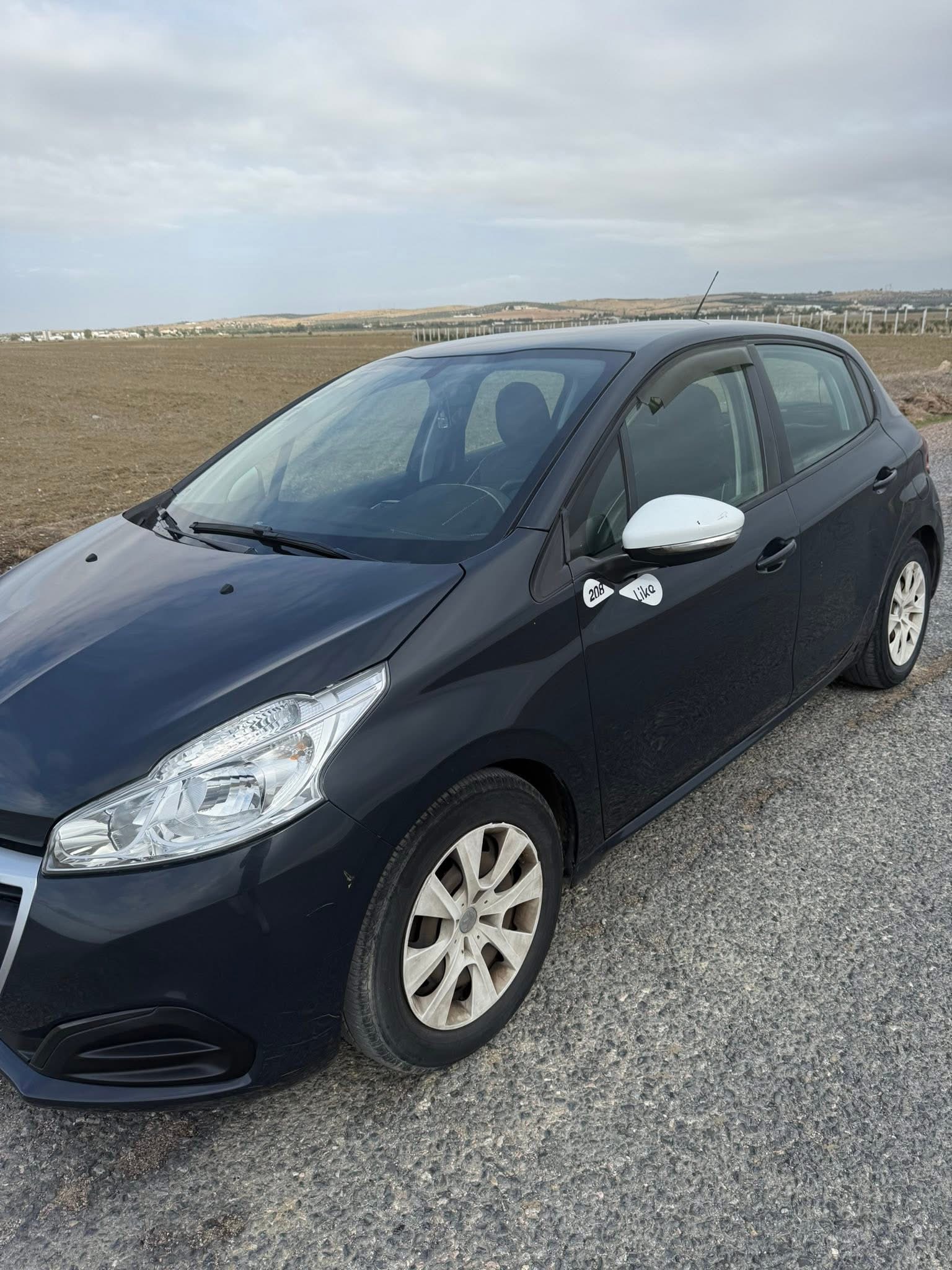 Mannouba La Mannouba Peugeot 208 208 pop 4cv