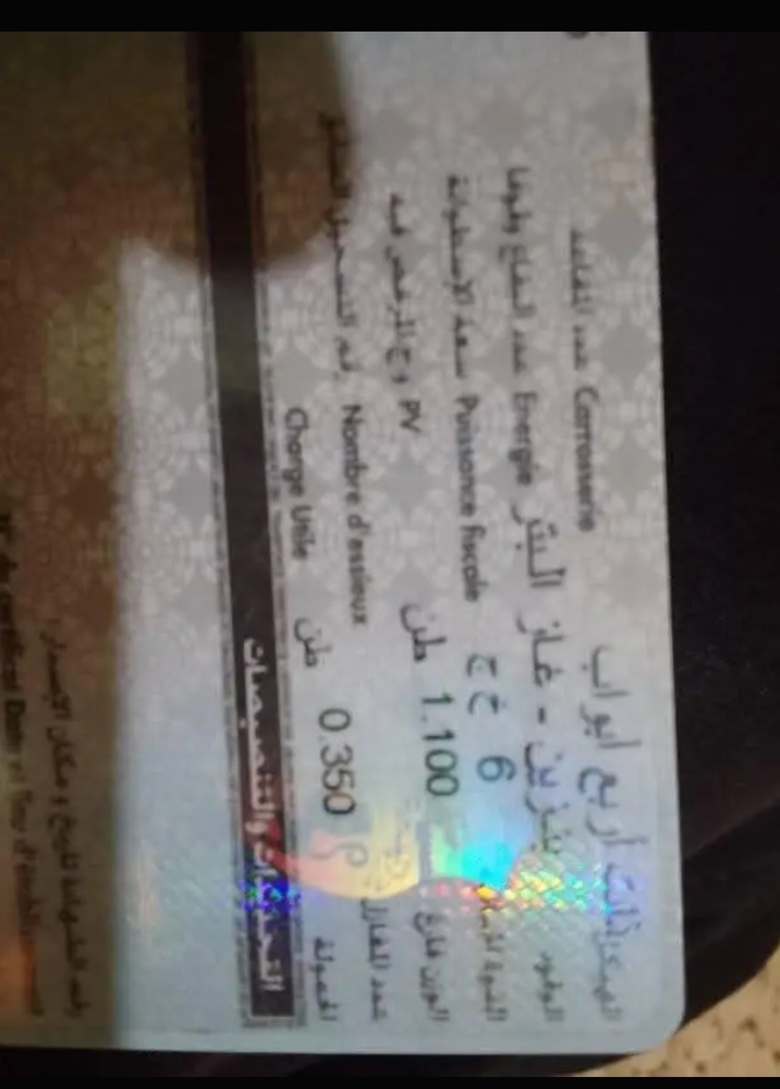 Maknassy Cite Ezzayatine Peugeot 206 206 sedan essence et gaz