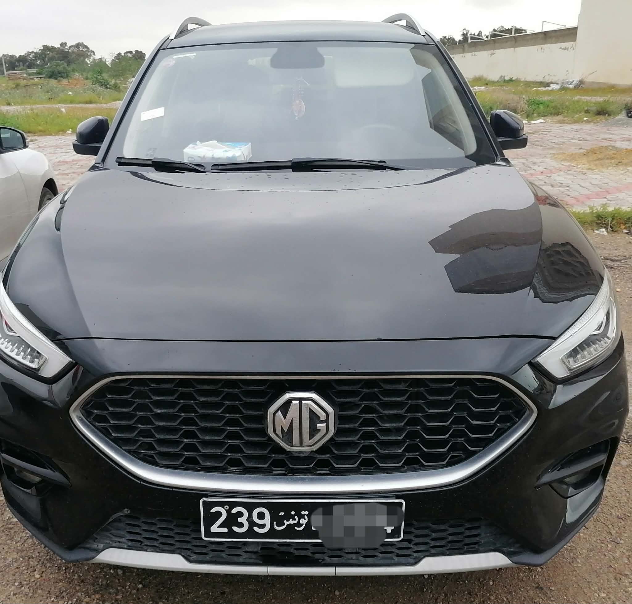 Mg&nbsp;ZS - Tunisie