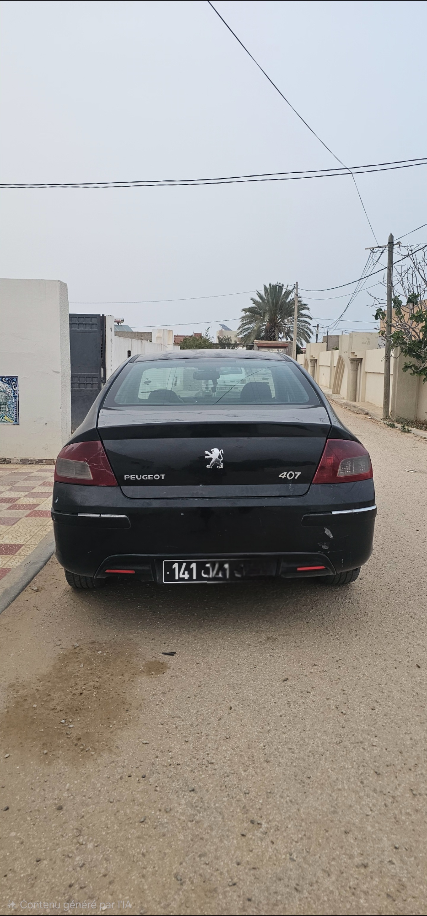 Sfax Sud&nbsp;Tyna&nbsp;Peugeot&nbsp;407&nbsp;Peugeot 407