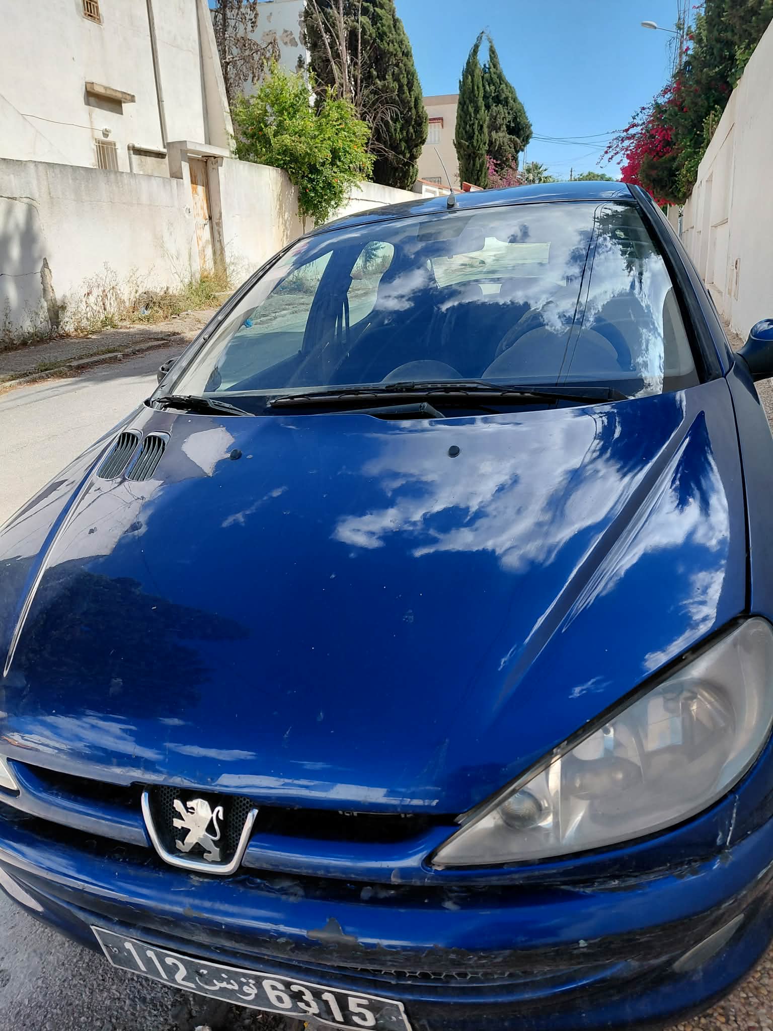 Peugeot&nbsp;206 - Tunisie