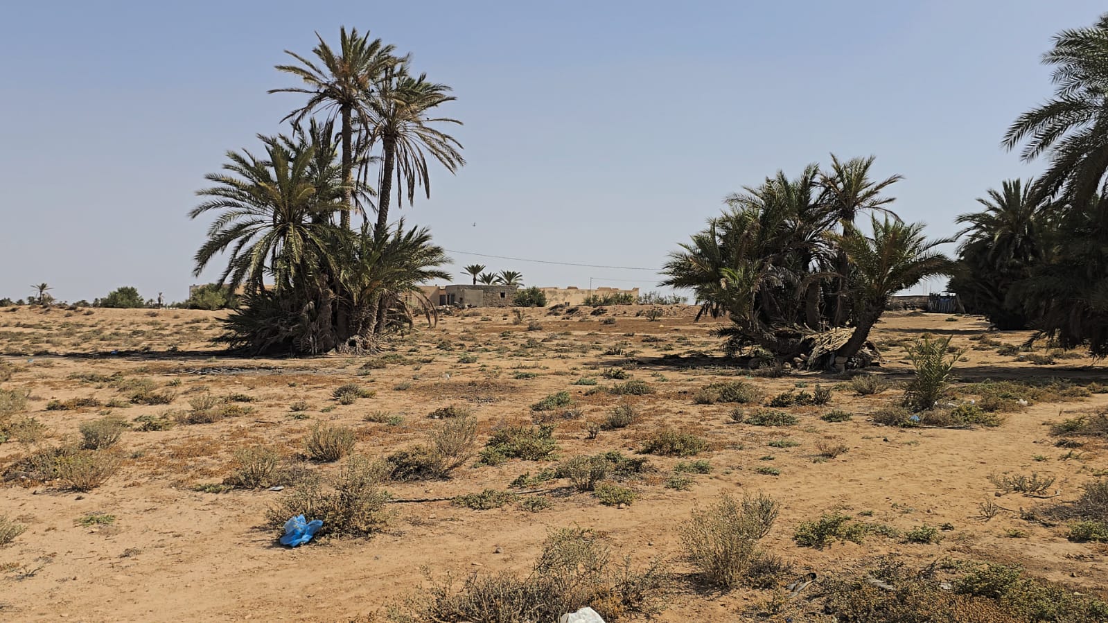 Ajim&nbsp;Ajim&nbsp;Terrain&nbsp;Terrain nu&nbsp;Grand terrain de � chikh yahia djerba
