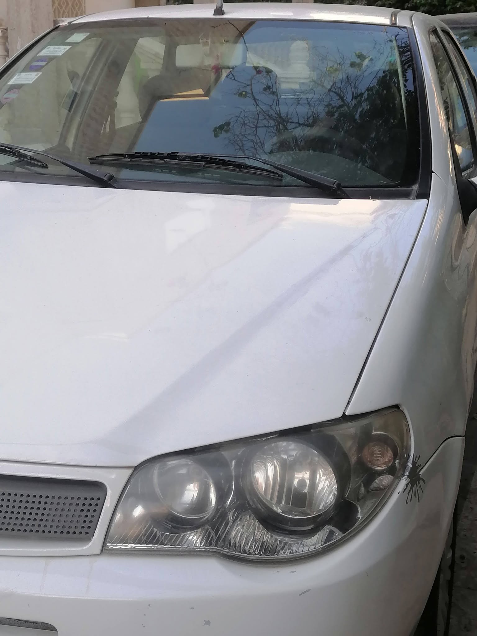 Fiat&nbsp;Palio - Tunisie