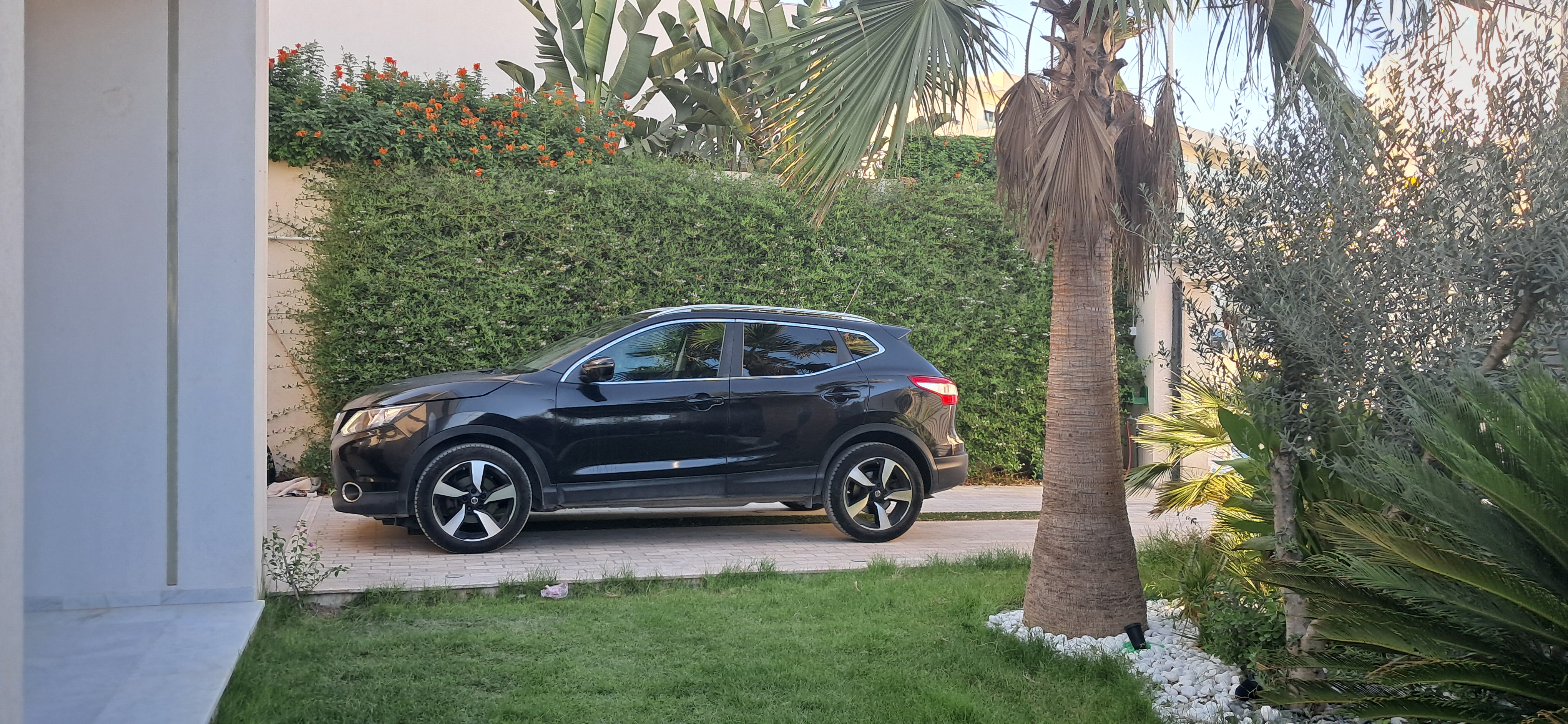 Nissan&nbsp;Qashqai - Tunisie
